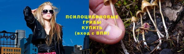 соль ск Алексеевка