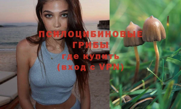 соль ск Алексеевка