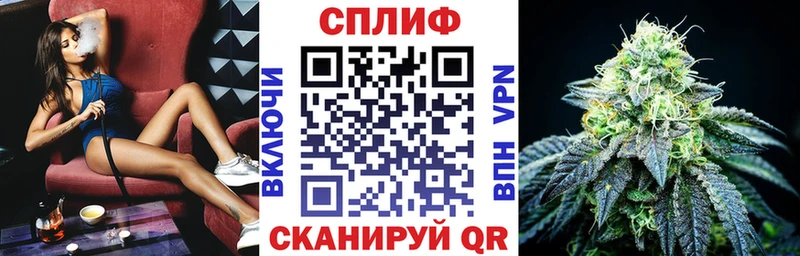 Бошки Шишки семена Сасово